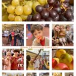 grand-gouter-d-automne